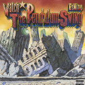 Watch the Pendulum Swing