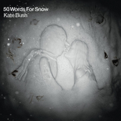 50 Words for Snow (2018 Remaster)