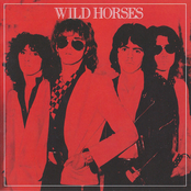 Wild Horses: Wild Horses