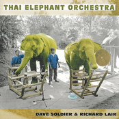 Elephant Field Recordings by Thai Elephant Orchestra