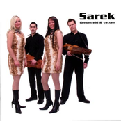 Som Om Inget Annat Fanns by Sarek