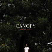 Daniel Fears: Canopy