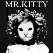 mr kitty