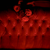 Ceremony (Joy Division Cover)