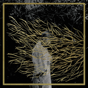 Onward by Forest Swords