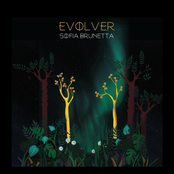 Evolver