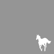 White Pony