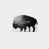 Bizon