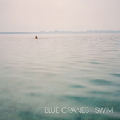 Blue Cranes: Swim