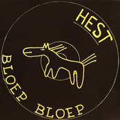 Hest