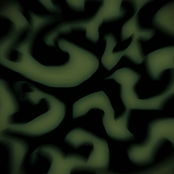 Untitled Album
