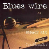 Steady Gig by Blues Wire