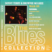 Harmonica Hop by Sonny Terry & Brownie Mcghee