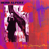 Hidden Angel by Herb Alpert