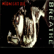 Barest Degree by Midnight Oil