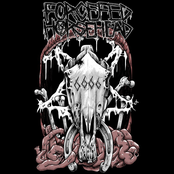 Forcefed Horsehead