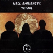 Nell' Ambientes