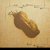 very big in america right now