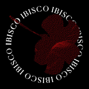 Ibisco