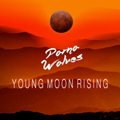 Porno Wolves: Young Moon Rising: Live