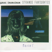 Strange Favourites - 2005