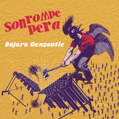 Son Rompe Pera: Pájaro Cenzontle