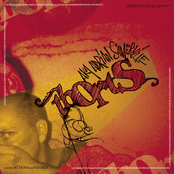 Louder ACTIONS are NEEDED