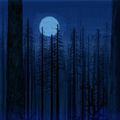 As the Trees Bore Witness