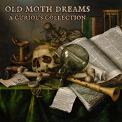 A Curious Collection