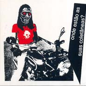 Onde estão as coletâneas