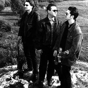 Framauro photo provided by Last.fm