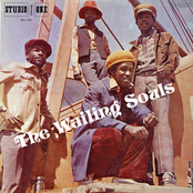 Real Rock by Wailing Souls