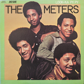 The Mob by The Meters