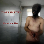 Woods Are Wet