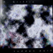 Unfinished by M. Griffin