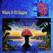 Temptation Is A Gun by The Allman Brothers Band