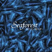 Seaforest～眠れない蝶の夢～