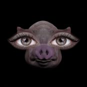 Sofia Isella: Us and Pigs