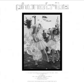 Phonotribe Project Part II