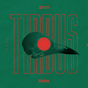 Green Divine Single
