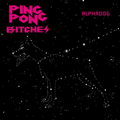 Alphadog by Ping Pong Bitches
