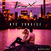 Bunny X: NYC Sunrise