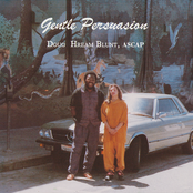 Gentle Persuassion