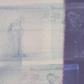 Will You Stay With Me