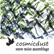 Snow Noise Assemblage by Cosmicdust
