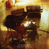 Hey Little Bruiser by Ed Harcourt