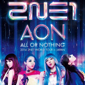 2014 2NE1 WORLD TOUR 〜ALL OR NOTHING〜 in JAPAN cover