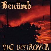 Benumb & Pig Destroyer (Split)