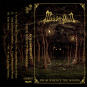 From Whence The Woods