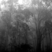 To A Vestige of Purest Light (Acoustic EP)